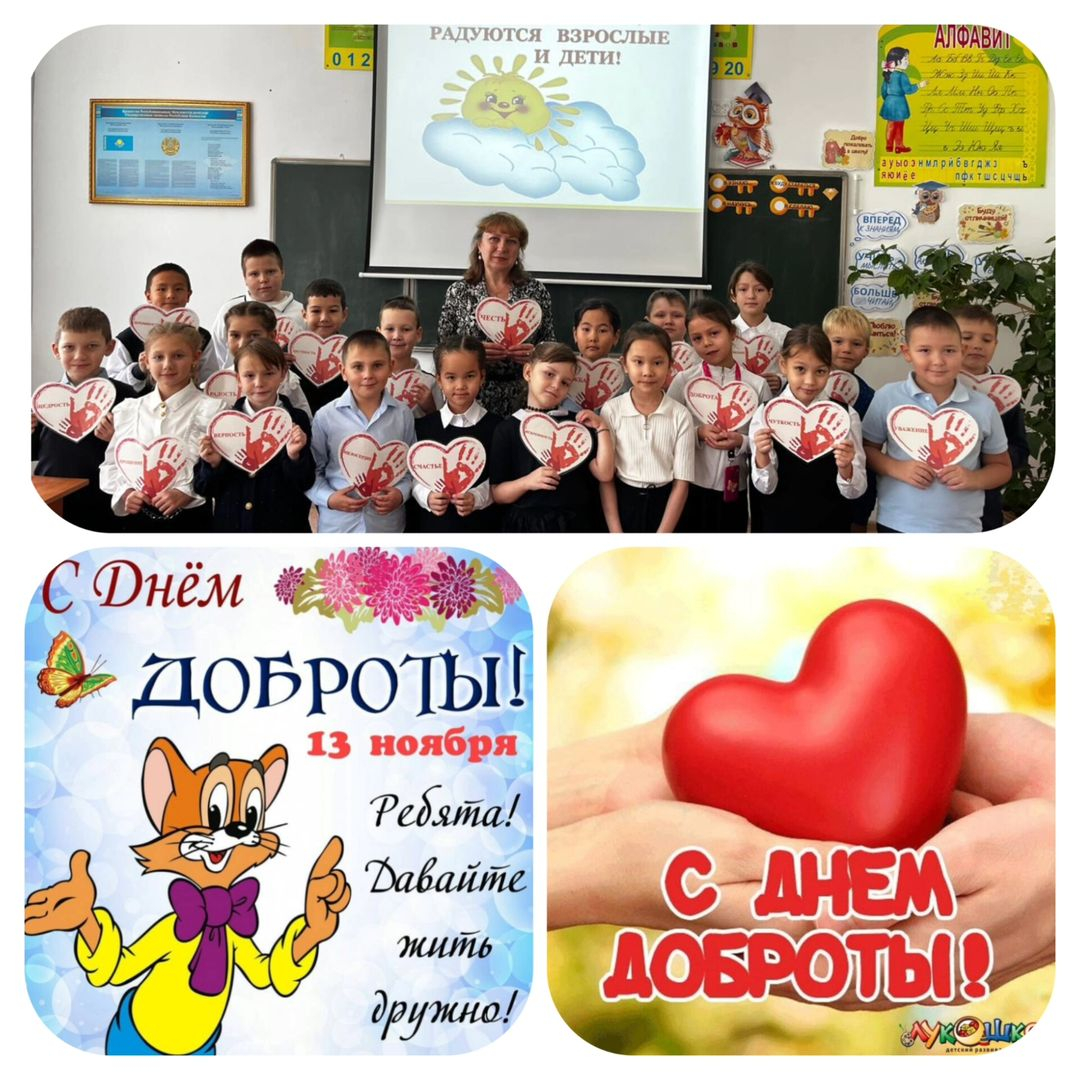 13 қарашада
