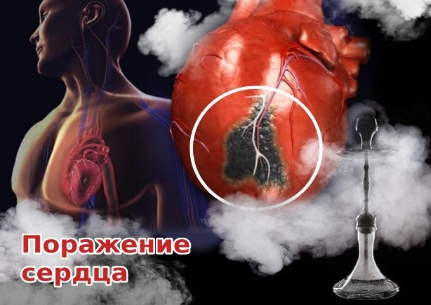 Кальян шегудің өкпеге, жүрек-тамыр жүйесіне және басқа мүшелерге әсері