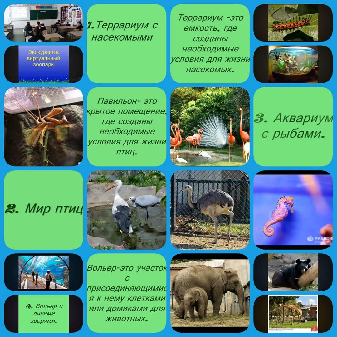 Знакомство с животными, занесенными в Красную книгу Казахстана.