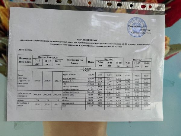 Перспективное