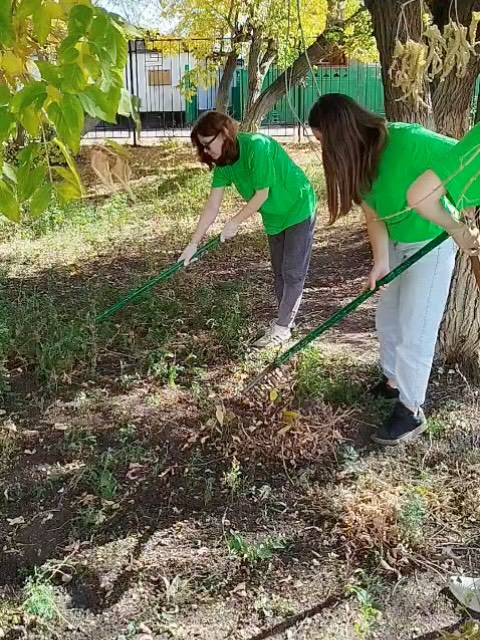 В рамках экологического воспитания и формирования бережного отношения к окружающей среде в школе была проведена акция “Чистый школьный двор”.