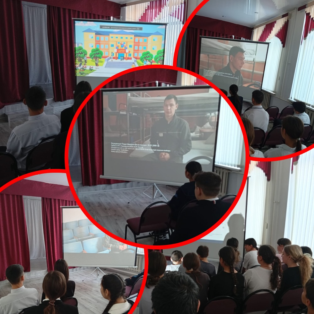 Просмотр документальных фильмов  направленных на профилактику преступности