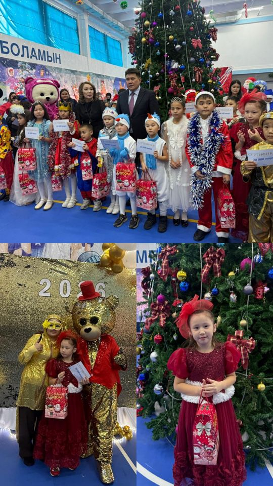 Аудан әкімі жаңа жылдық шыршасы