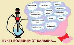 Влияние курения кальяна на легкие, сердечно-сосудистую систему и другие органы