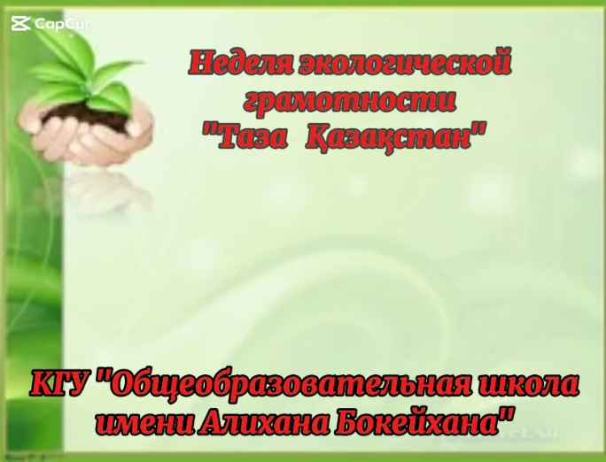 «Чистая планета начинается с меня»