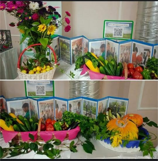 25 тамызда “Мичурин негізгі орта мектебі” КММ жыл сайынғы тамыз конференциясы аясында ұйымдастырылған көрмеге қатысып, “Агросынып” жобасын іске асыру материалдарын ұсынды.
